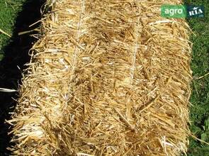 Тюки пшеничної соломи
