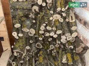 Дрова з горіха