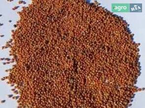  Семена чумизы 2024 года