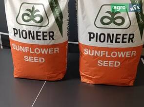  Семена подсолнечника P64LE168 Pioneer 10 кг