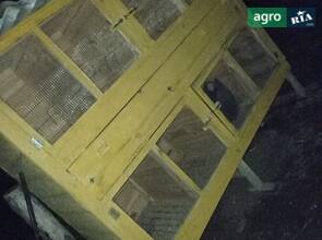 Клітки для кроликів