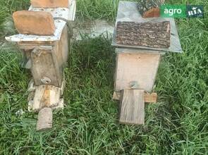 Бджолопакет