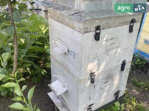 Вулики Дадан на 10 рамок (двокорпусні) — заводські велетні з ППУ утепленням