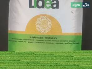 Насіння соняшнику ЕС Розалія