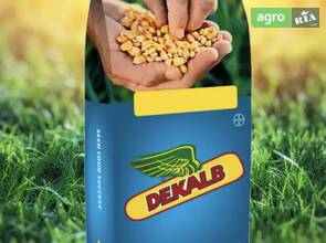 Насіння Кукурудзи ДКС Монсанто