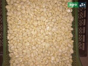 Часник очищений