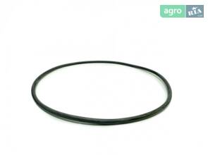 Ущільнювальне кільце N302128