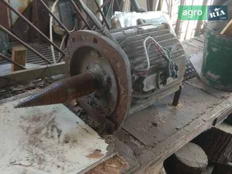  Морквяний деревокол - фото