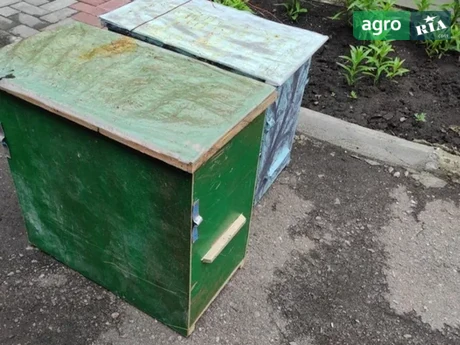 Мед, тара для бджіл. - фото