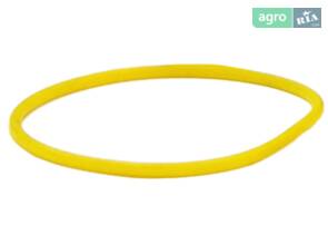 Ущільнювальне кільце (циліндра) 180N