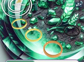 Комплект ущільнень циліндра AHC16965 до John Deere