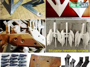 Лапа - фото