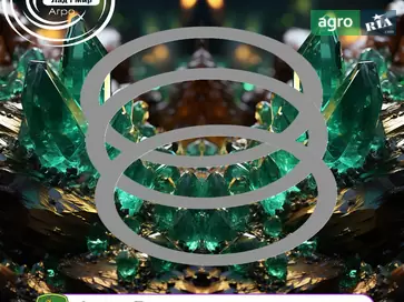 Кольцо металлическое R260017 для трактора John Deere - фото