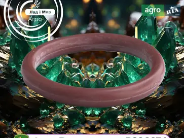 Кільце гумове R326674 до трактора John Deere - фото