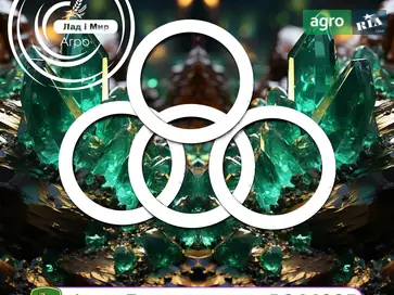 Шайба R244925 до трактора John Deere - фото