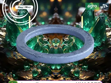 Шайба KK10877 до оприскувача John Deere - фото