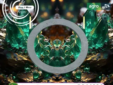 Шайба R244926 до трактора John Deere - фото