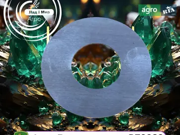 Шайба R79989 до трактора John Deere - фото