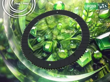 Диск муфти RE294019 до трактора John Deere - фото