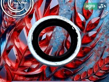 Шайба 87417767 до комбайна New Holland - фото