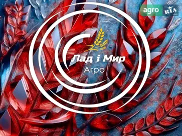 Шайба 120947C1 до комбайна New Holland - фото