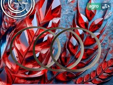 Шайба 427567A1 до комбайна New Holland - фото