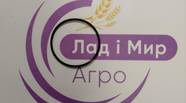 Новий
