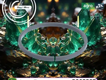 Стопорне кільце R205587 до трактора John Deere - фото