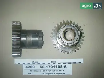 Шестерня 50-1701198-А до трактора МТЗ - фото