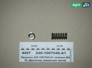 Пружина клапана МАЛА (пр-во S. I. L. A.) 240-1007046-А1