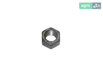 Гайка до причепа Дніпро - фото