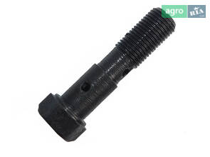 Болт-штуцер М10х1,0х40 (стальной) (производство S. I. L. A. AC) 310239-П29