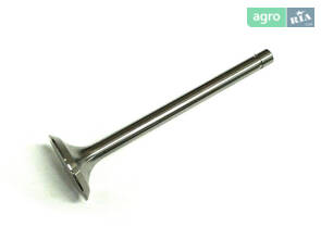 Клапан впускний Д-240, фаска 45 градусів (Turkey) 240-1007014-Б4