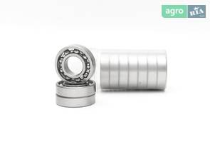 Подшипник 16002