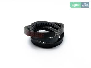 Ремінь зубчастий