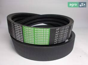 Привідний ремінь