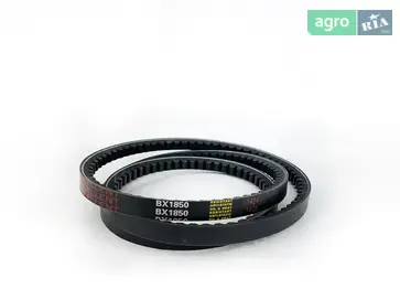 Ремінь зубчастий - фото