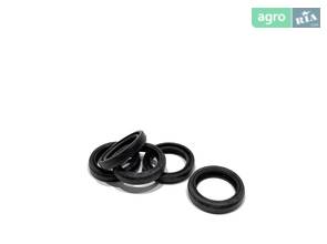 Манжета армована 20х42х10-2.2 імп.