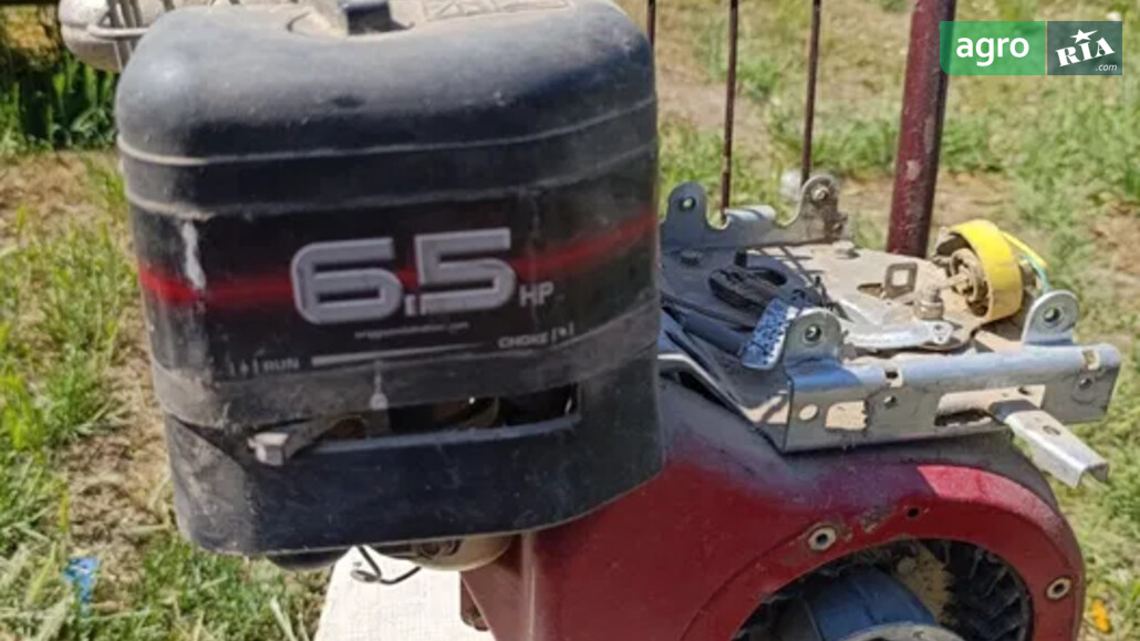 Briggs&Stratton   - фото 1