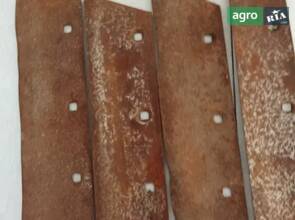 Леміш до плуга ПЛН 3-35