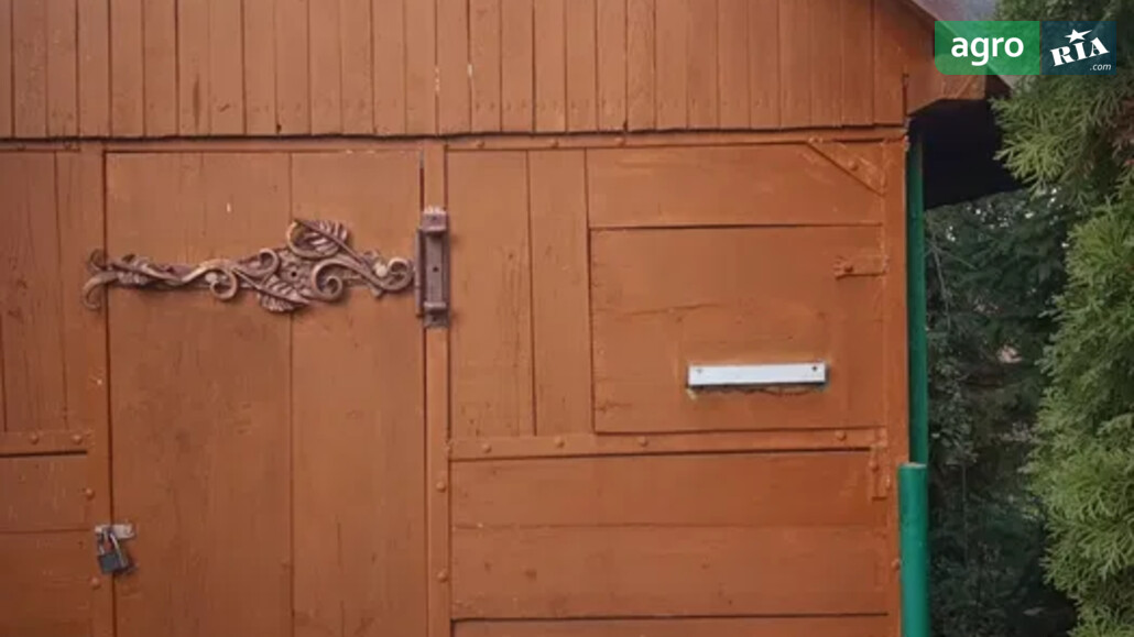 Вулик    - фото 1