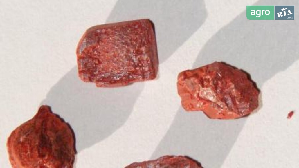 Хімічні речовини    - фото 1