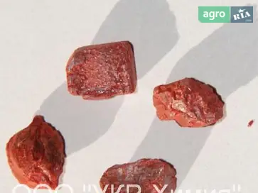  Киновар (сульфід ртуті HgS) - фото