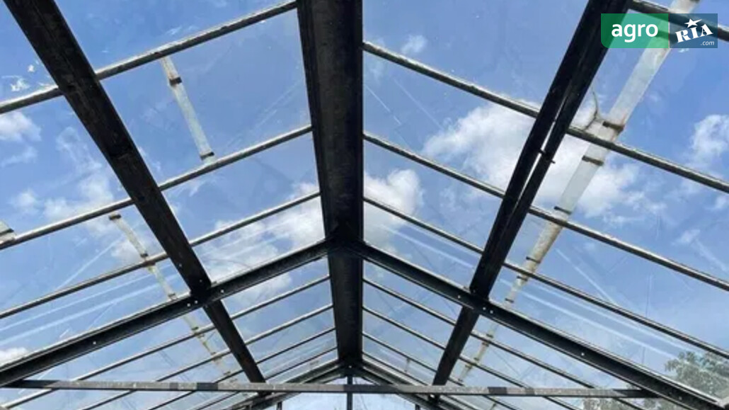 Теплиця    - фото 1