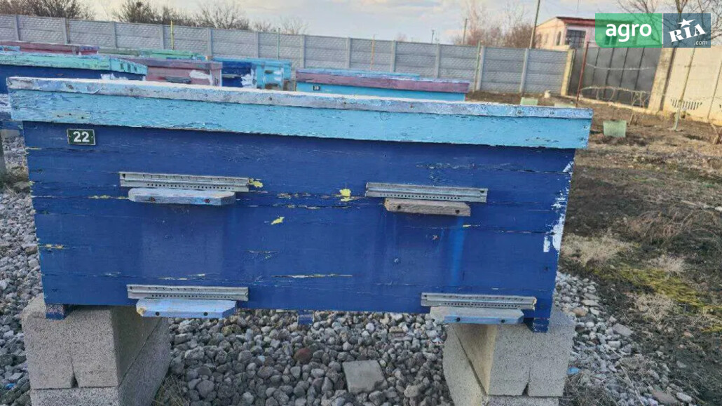 Вулик    - фото 1