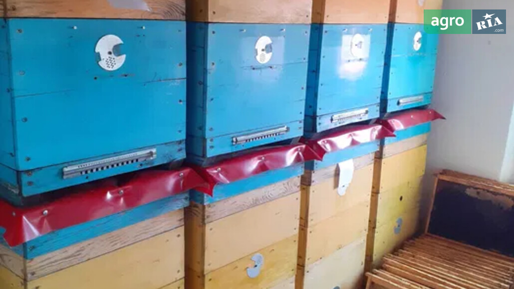 Вулик    - фото 1