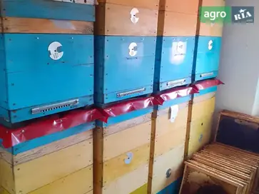 Вулики багатокорпусні 10ти рамкові - фото