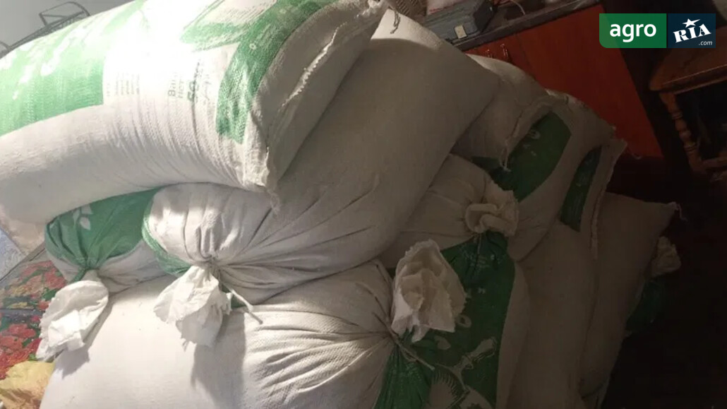 Ячмінь    - фото 1