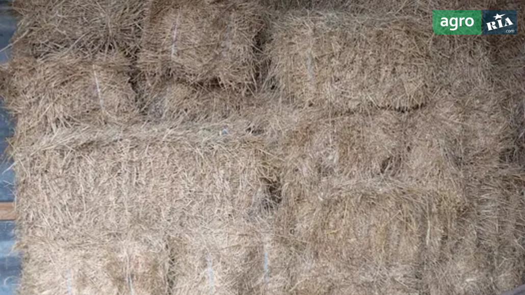 Сіно    - фото 1
