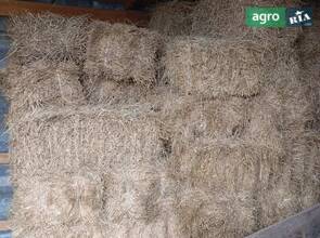 сіно люцерки